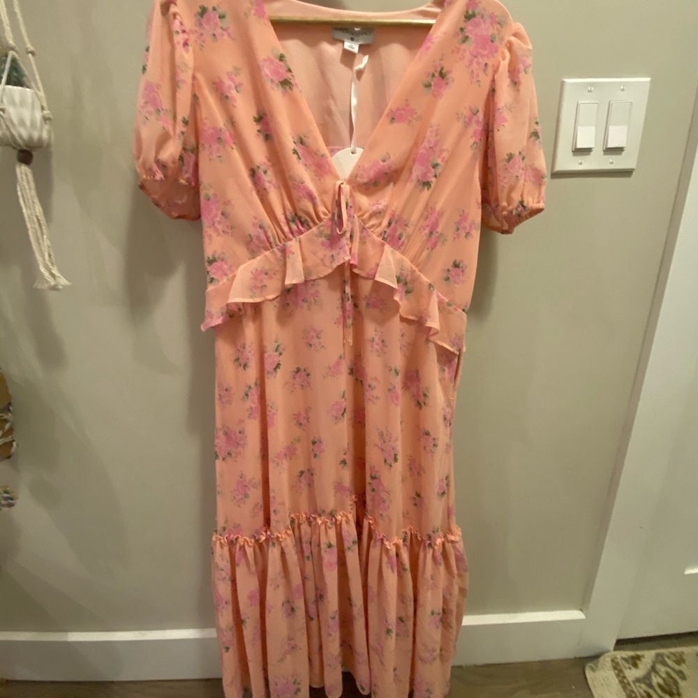 COPY - Love shack fancy pink dress brand new